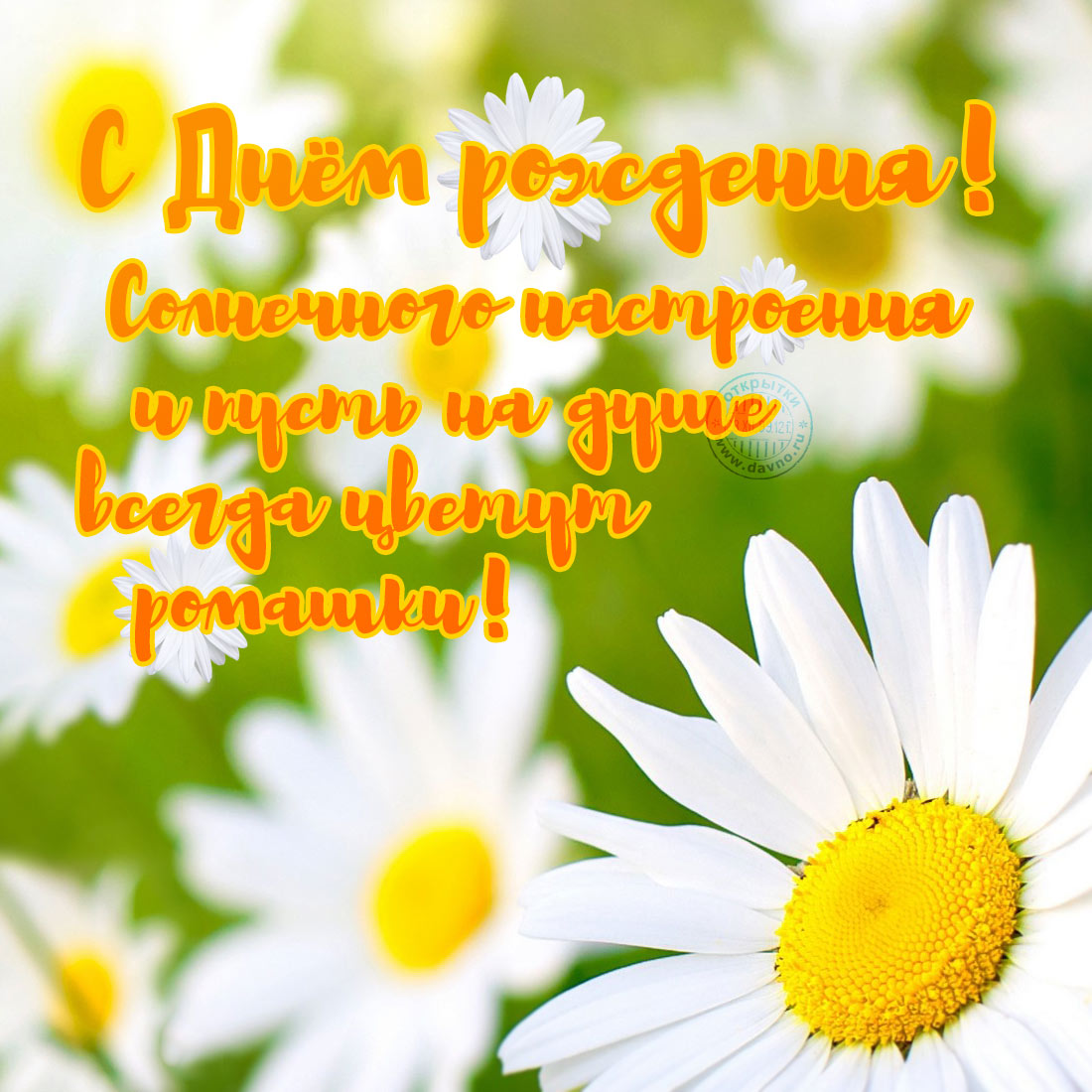 Поздравления С Днем Позитивной Девушке