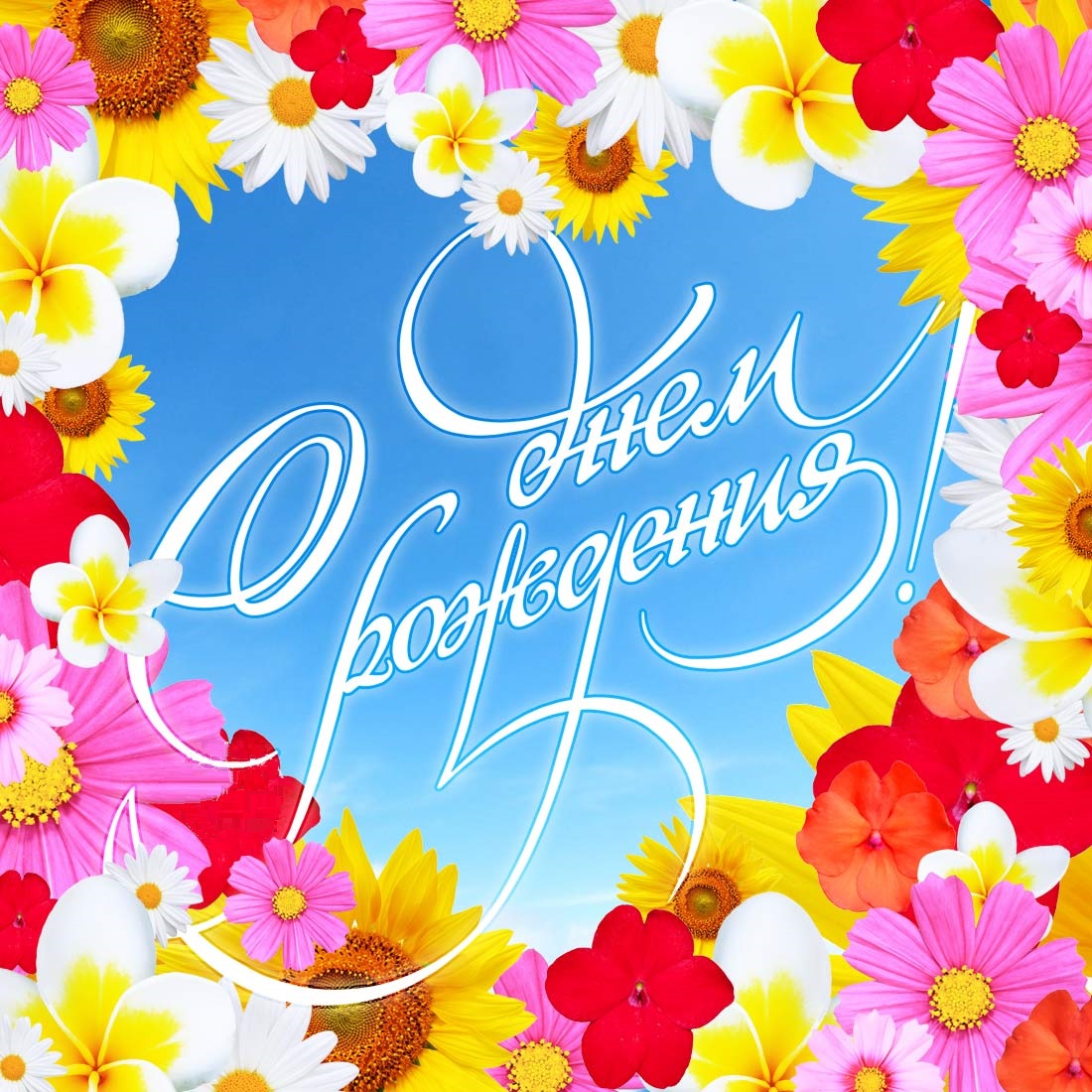 Д Р Женщины Поздравление В Картинках